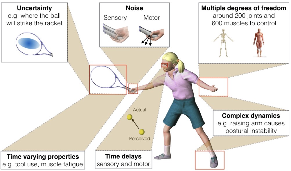 The problems in motor control includes uncertainty, noise, multiple degrees of freedom, complex dynamics, time delays and time varying properties such as muscle fatigue.