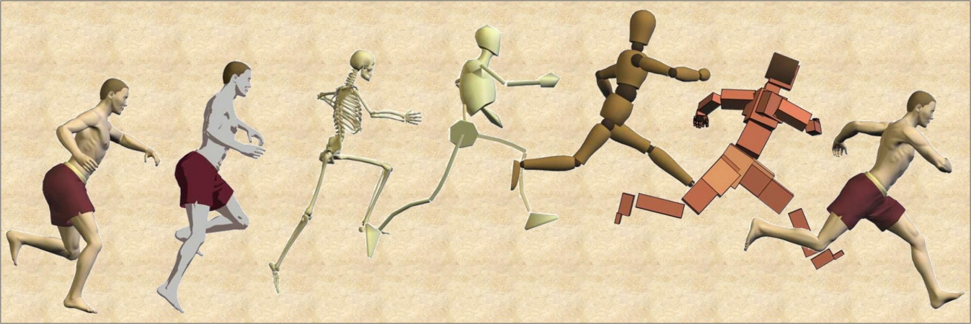 A nice computer generated image of several running people represented  as  humans, skeleton and blocks. 