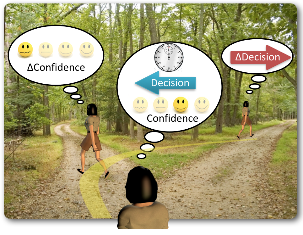 Decision of which of two routes to walk along takes time and is accompanied by a level of confidence in the decision which can change over time and lead to a change of decision.